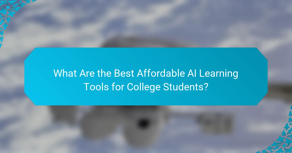 What Are the Best Affordable AI Learning Tools for College Students?